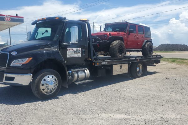 PHOTO-2025-02-25-07-52-24 (1)